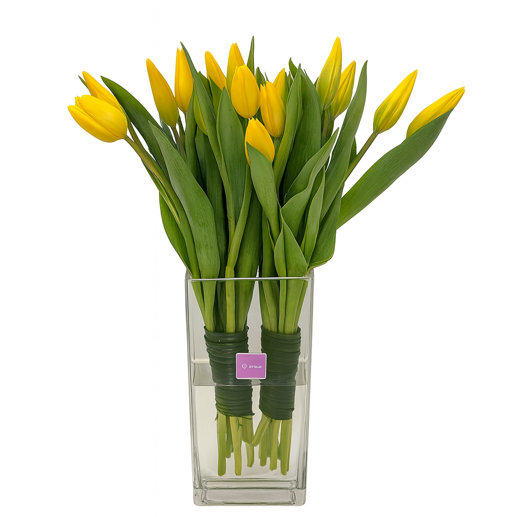 Gisele - florero de cristal con 20 tulipanes amarillos