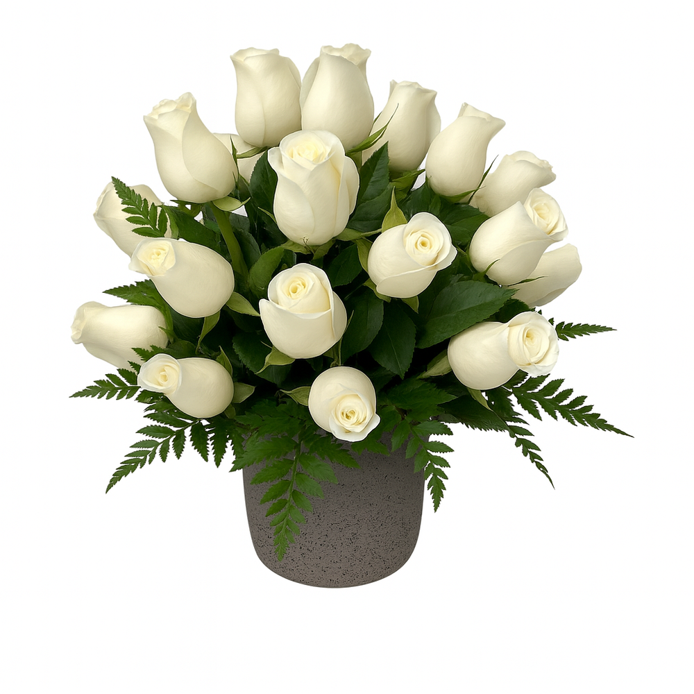 Ariadna - base de cemento con 24 rosas blancas