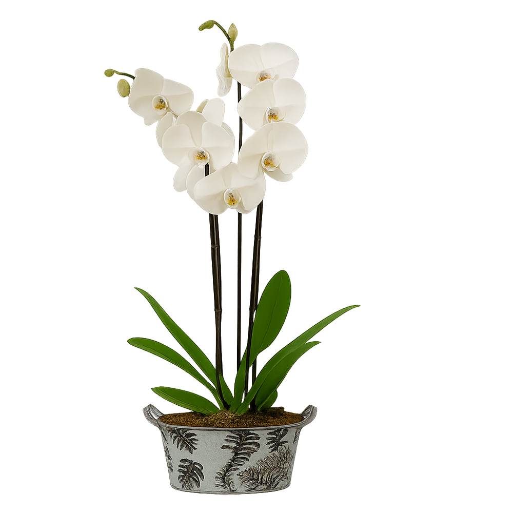 Canastita de metal con una orquídea phalaenopsis blanca