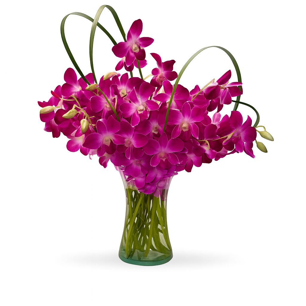 Samara- Florero de vidrio con orquídeas dendrobium