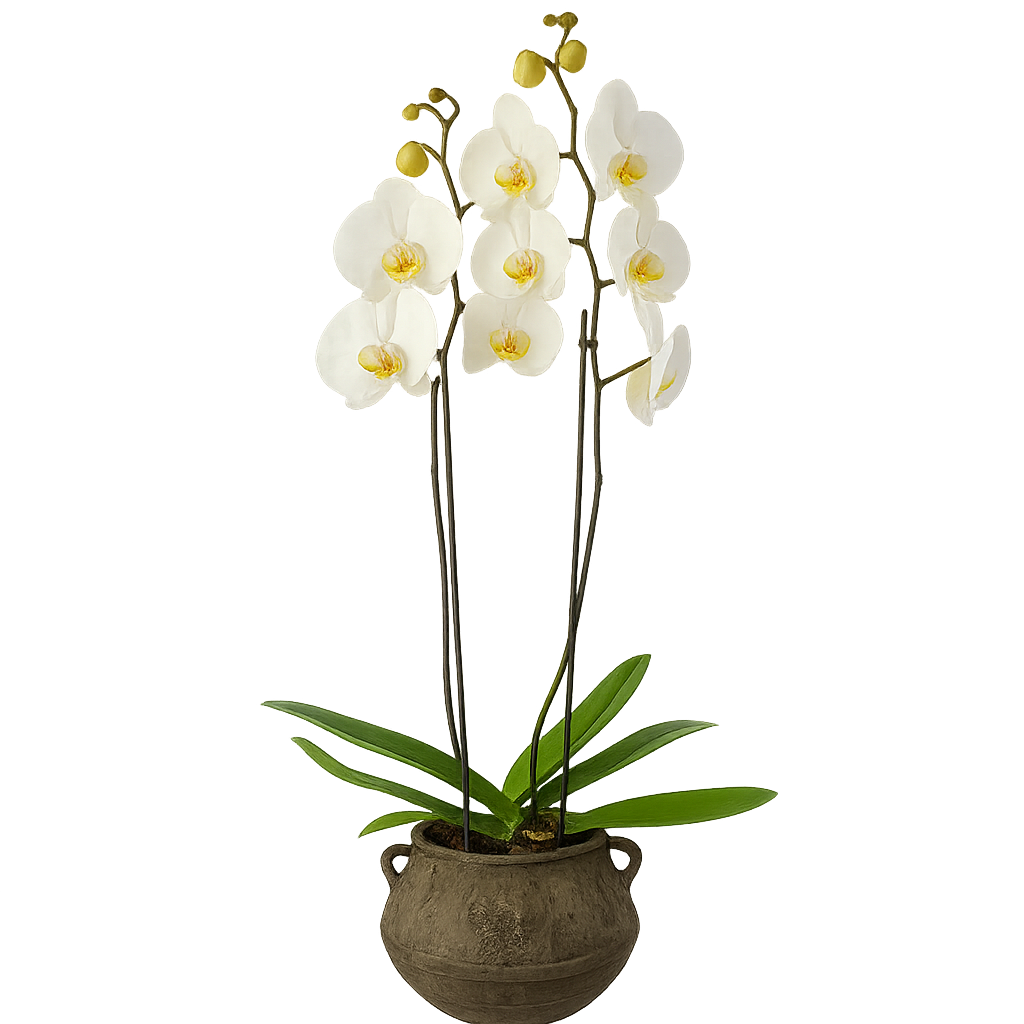 Olla gris-maceta con una orquídea blanca