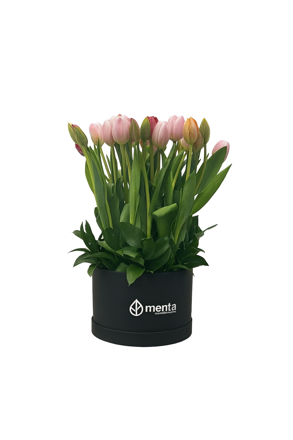 Lucero-caja redonda negra con 30 tulipanes de colores
