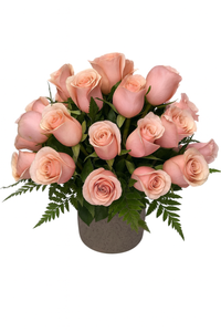Ariadna-base de cemento con 24 rosas rosas