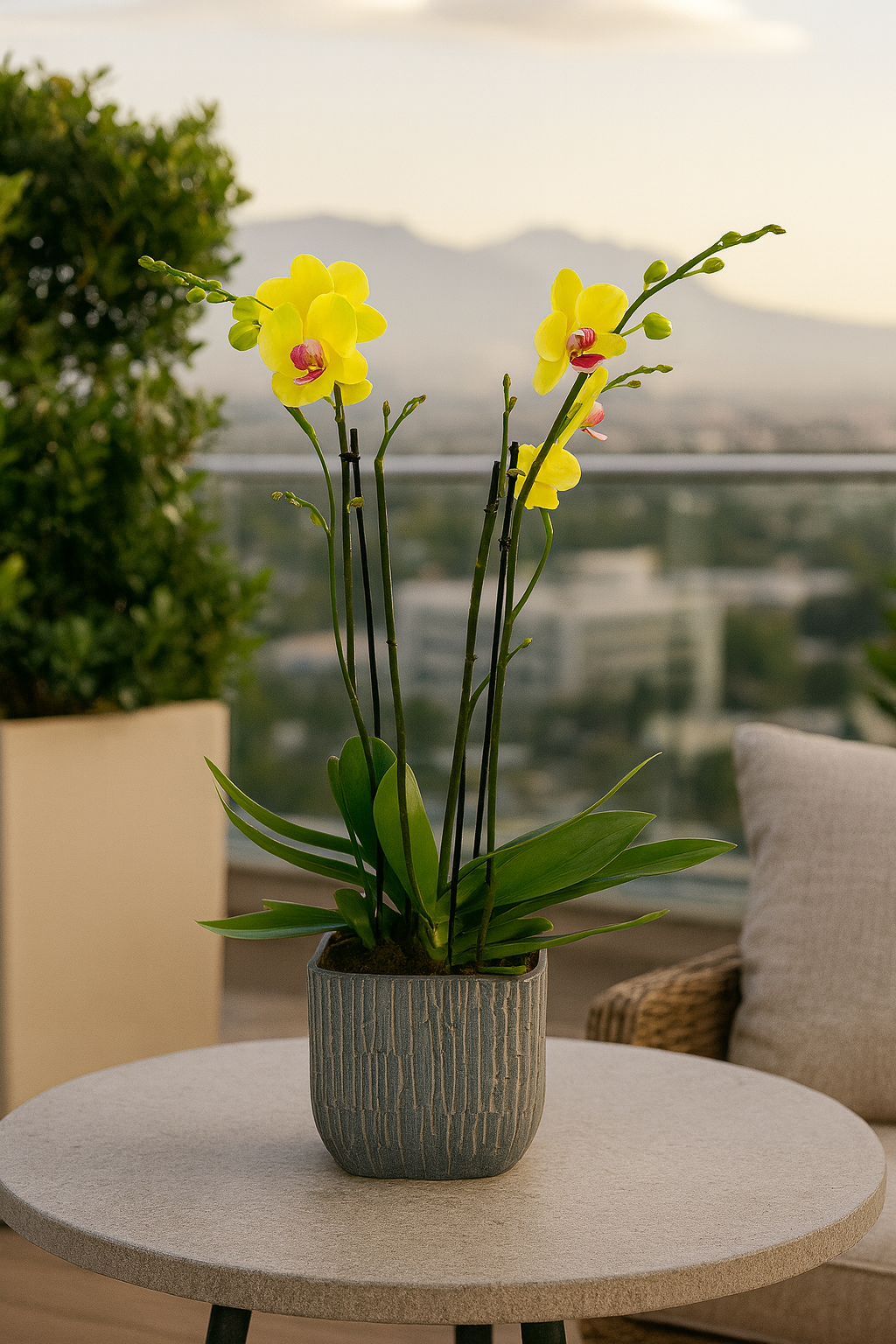Oxford-base de cerámica con dos orquídeas amarillas