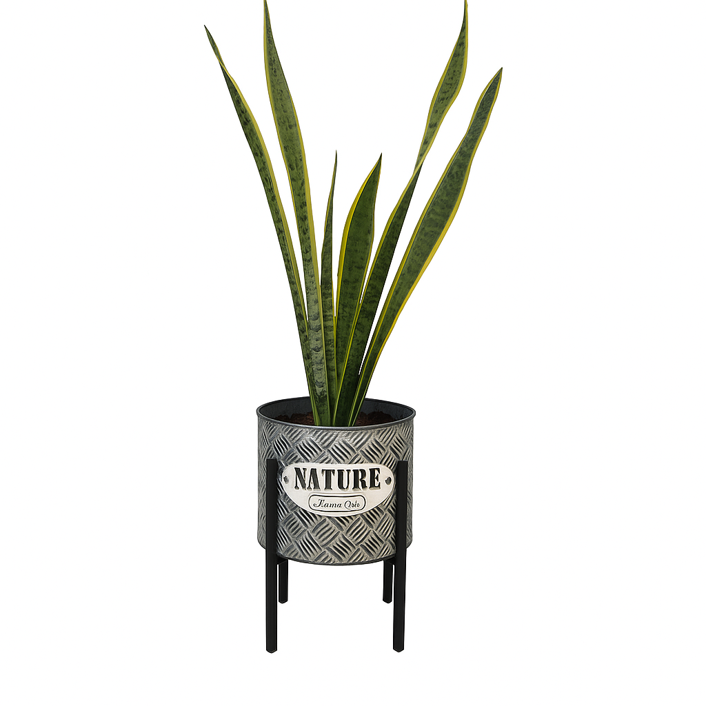 Mario-maceta de metal con Sansevieria