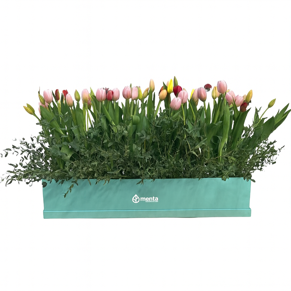 Etiqueta Paris - caja rectangular menta con 70 tulipanes de colores