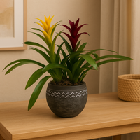 Germán-maceta terracota olmeca con 2 bromelias