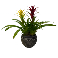 Germán-maceta terracota olmeca con 2 bromelias