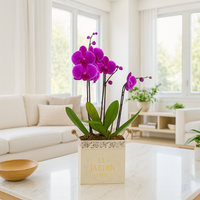 Le Jardín maceta de metal chica 2 orquídeas fiusha