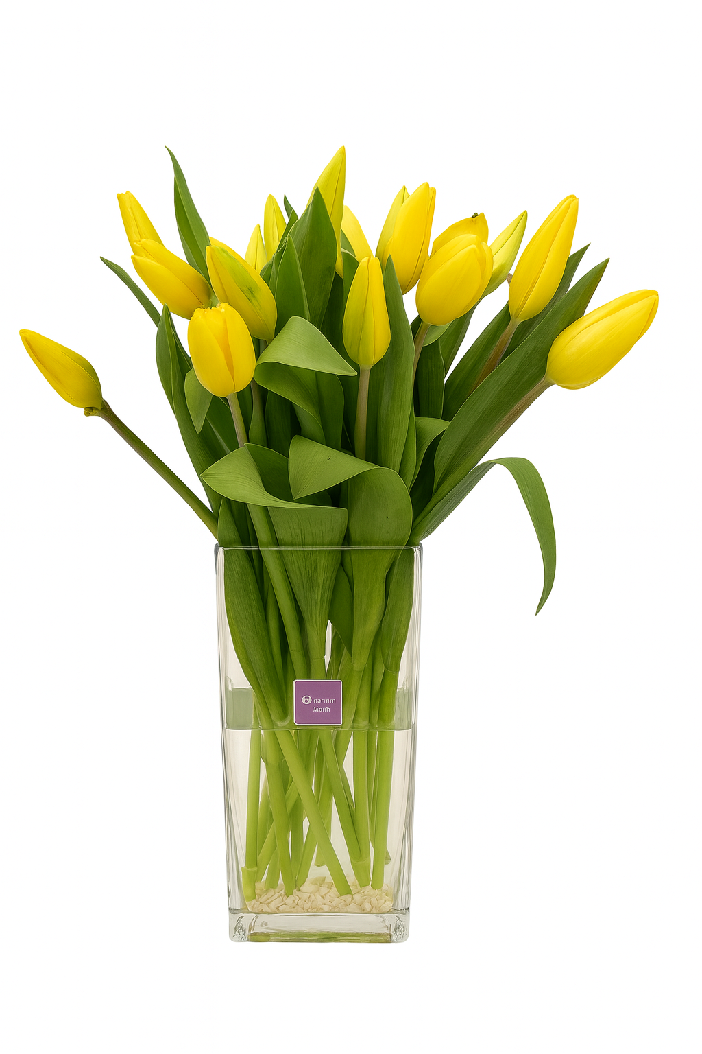 Camila - florero rectangular con 20 tulipanes amarillos