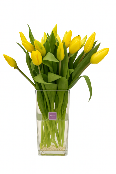 Camila - florero rectangular con 20 tulipanes amarillos
