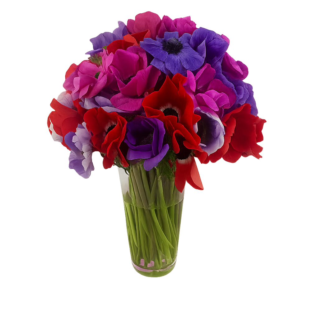 Valeria - florero de vidrio con Anemonas