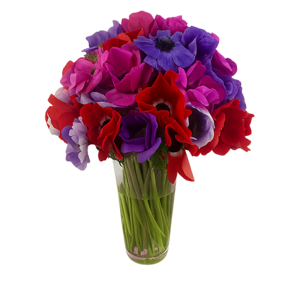 Valeria-florero de vidrio con Anemonas
