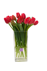 Camila - florero rectangular con 20 tulipanes rojos