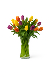 Marlene - florero de vidrio con  30 tulipanes de colores