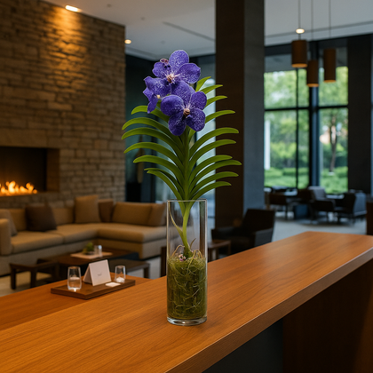 Orquídea Vanda en florero cilindro de cristal