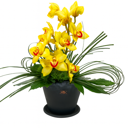 Regina-Base de cerámica con orquídea Cymbidium