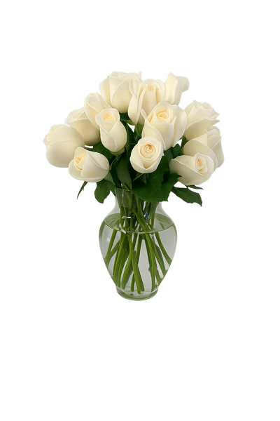Andrea - florero de vidrio con 24 rosas blancas