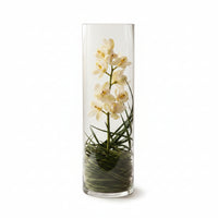 Orquídea Cymbidium en cílindro de cristal