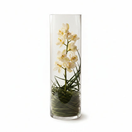 Orquídea Cymbidium en cílindro de cristal