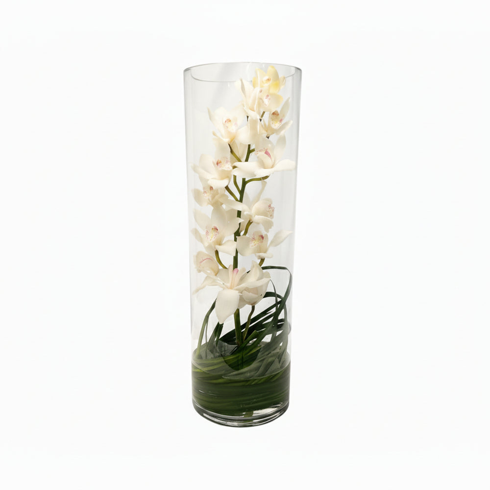 Orquídea Cymbidium en cílindro de cristal