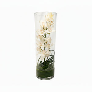 Orquídea Cymbidium en cílindro de cristal