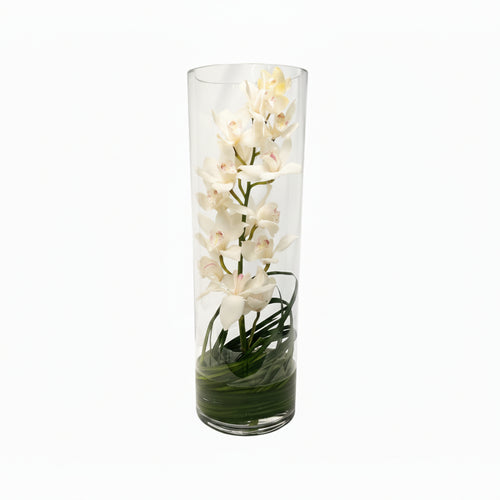 Orquídea Cymbidium en cílindro de cristal