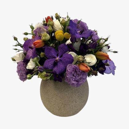 Elia-maceta de cemento con lisianthus morado y vandas