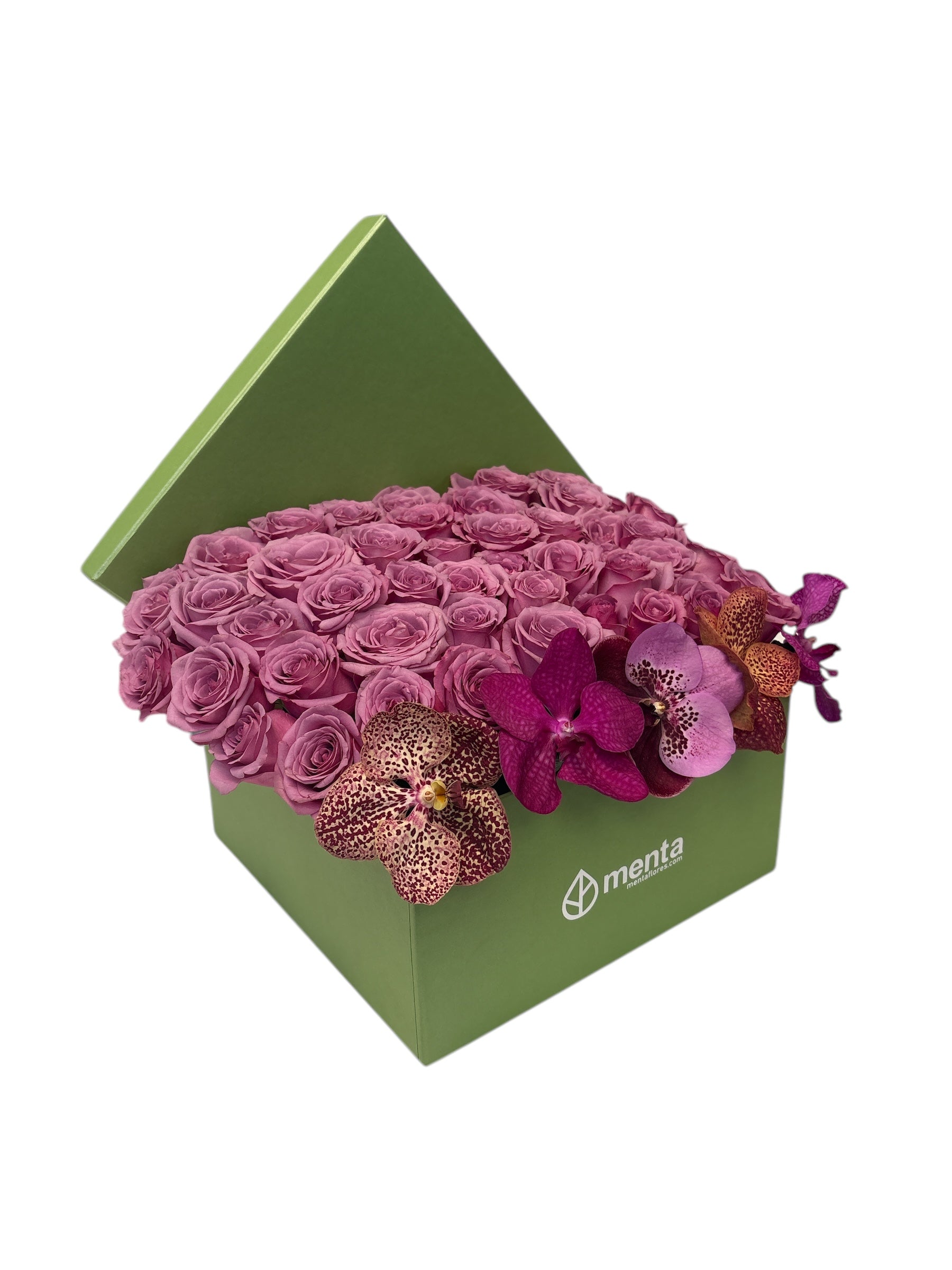 Etiqueta Versalles-caja cuadrada verde con 48 rosas aqua y orquídea vanda