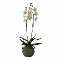 Olla gris-maceta con una orquídea blanca