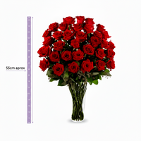 Isabela- florero con 48 rosas rojas