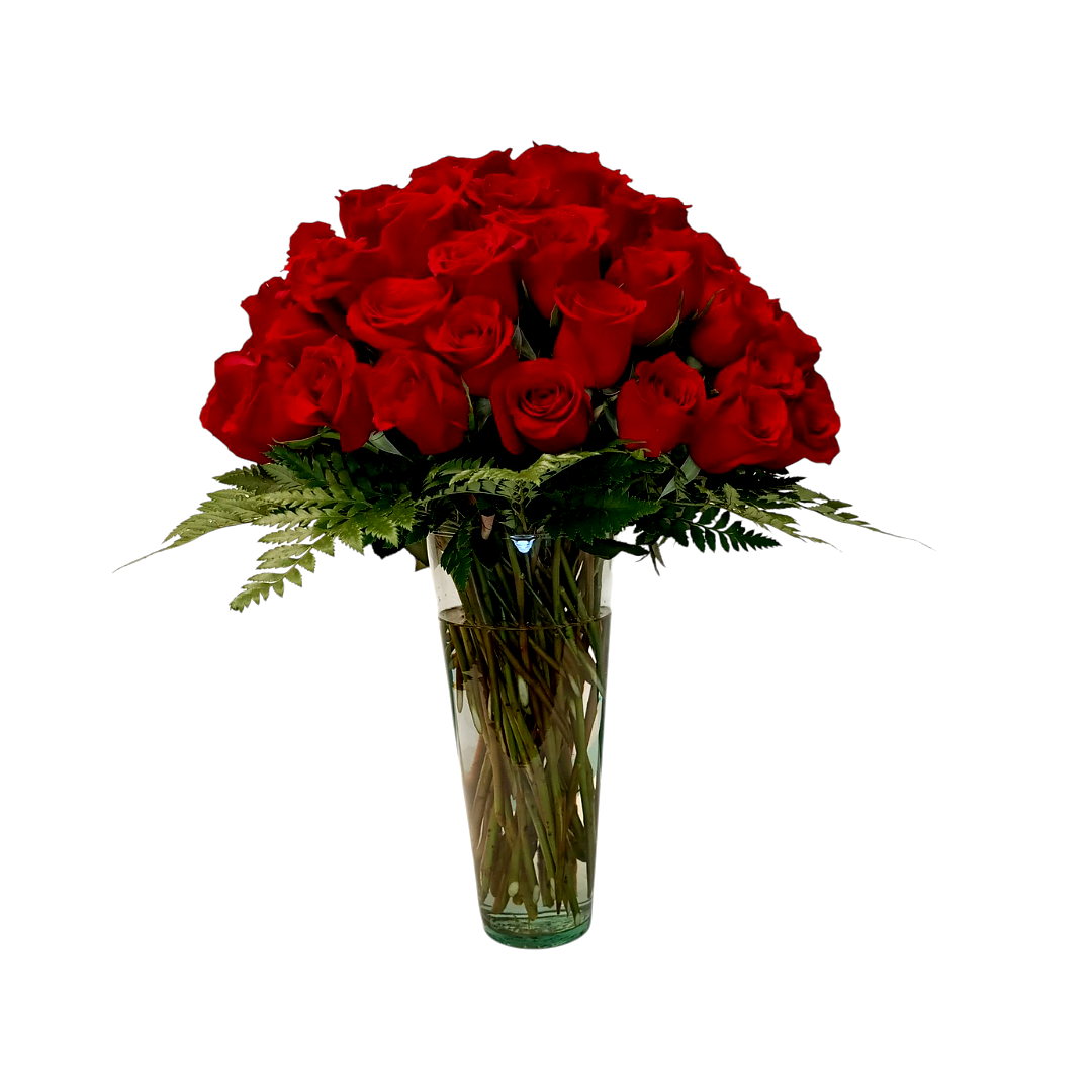 Isabela- florero con 72 rosas rojas
