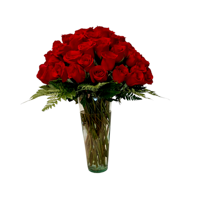 Isabela- florero con 72 rosas rojas