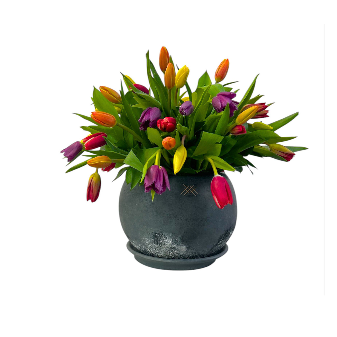 Layla-base de cerámica textura gris con 60 tulipanes