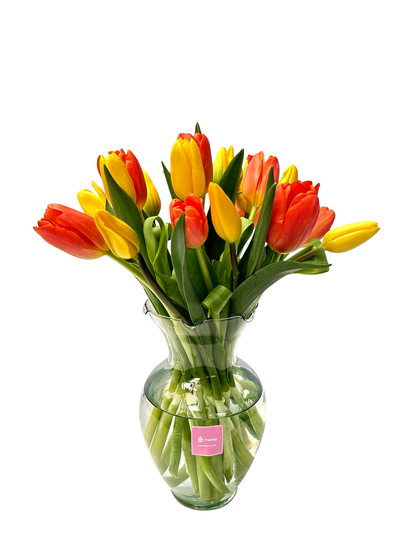 Liz - florero de vidrio con 20 tulipanes mixtos