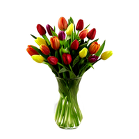 Liz - florero de vidrio con 30 tulipanes mixtos