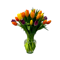 Liz - florero de vidrio con 40 tulipanes de colores