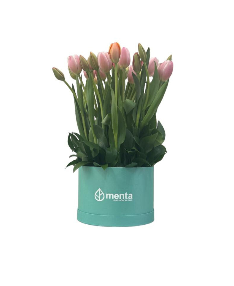 Lucero-caja redonda menta con 30 tulipanes de colores