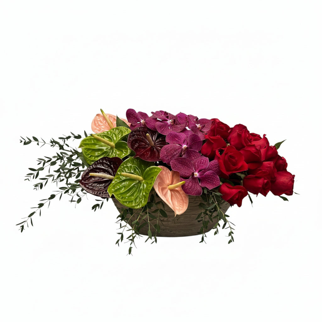 Lia-maceta de cemento con rosas, anturios y orquídeas vanda