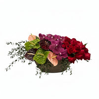 Lia-maceta de cemento con rosas, anturios y orquídeas vanda