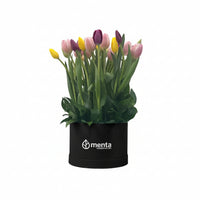 Lucero-caja redonda negra con 30 tulipanes de colores