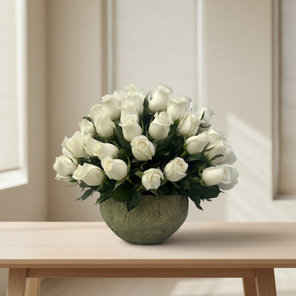 Luisa-maceta de cemento con 75 rosas blancas