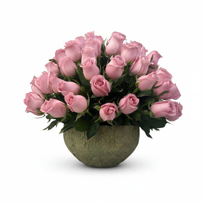 Luisa-maceta de cemento con 75 rosas rosas