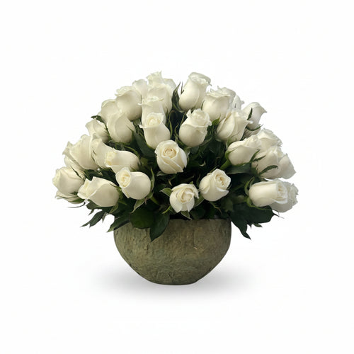Luisa - maceta de cemento con 75 rosas blancas
