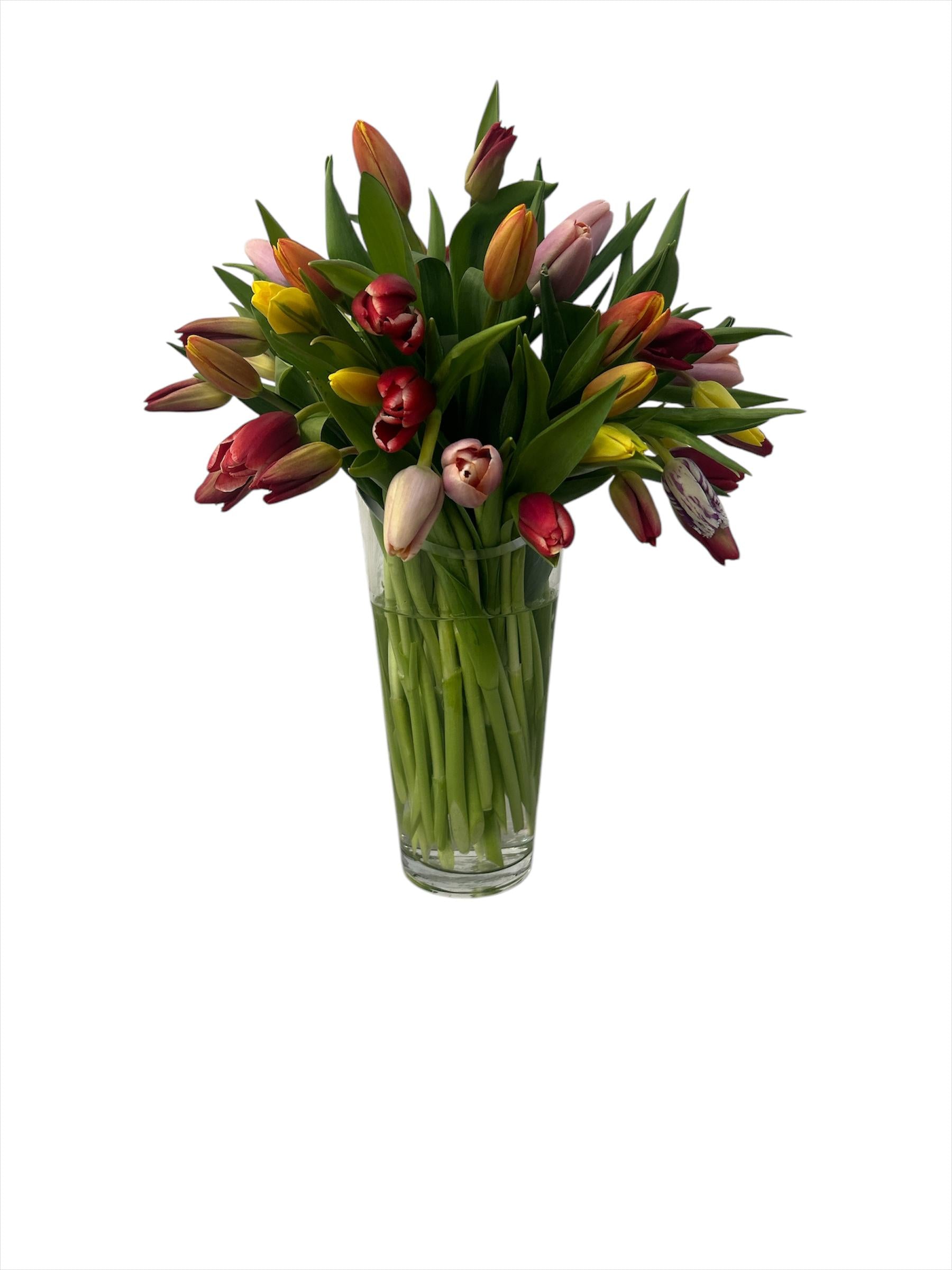 Marisa- florero de vidrio con 50 tulipanes