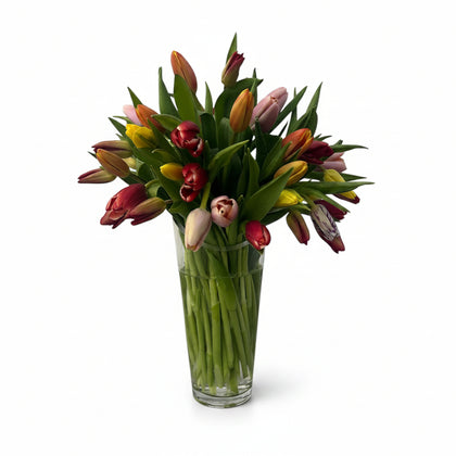 Marisa- florero de vidrio con 50 tulipanes