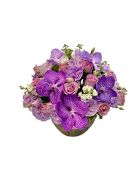 Marie-maceta de cemento chica con rosas y orquídeas vanda