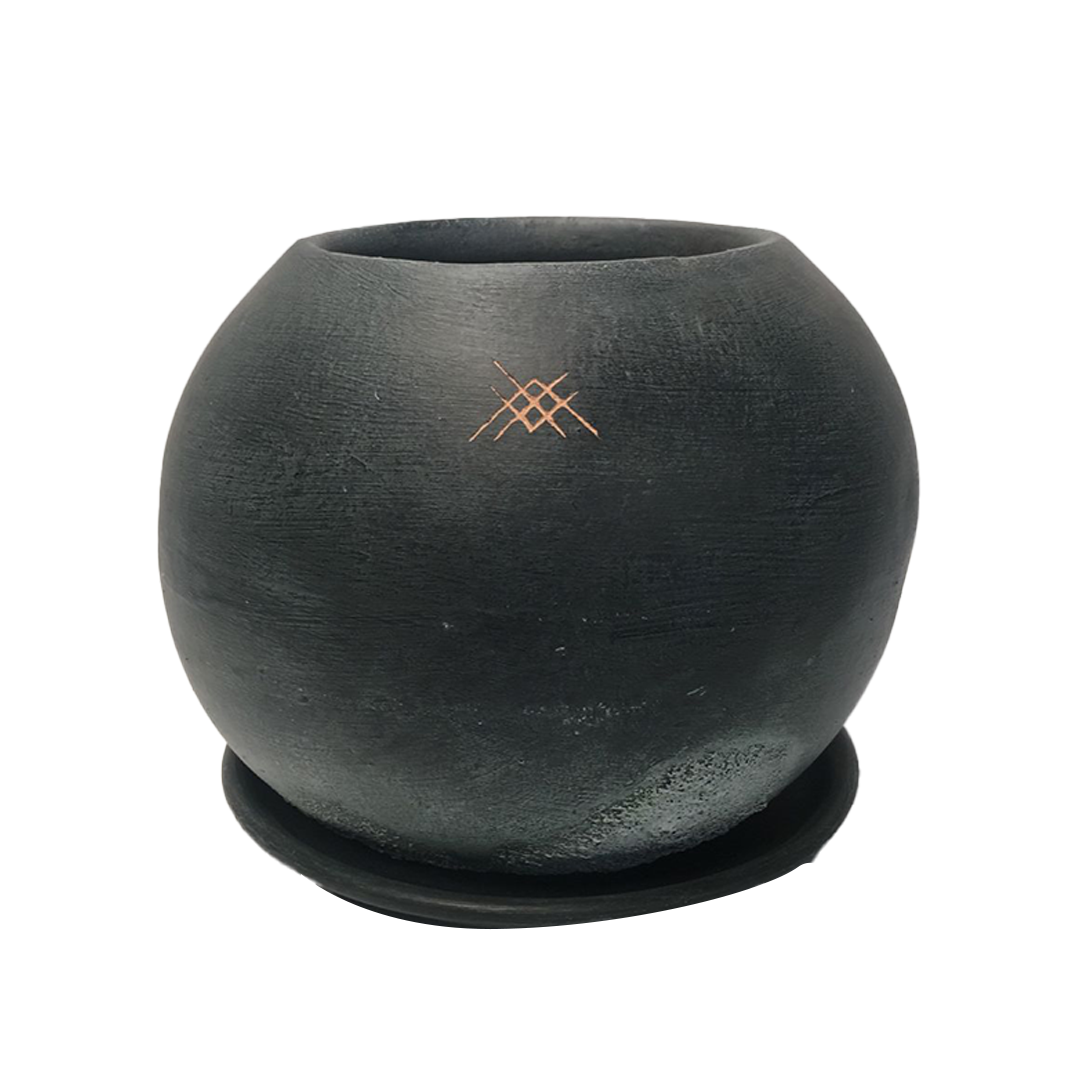 Manuel-maceta con 2 bromelias de colores