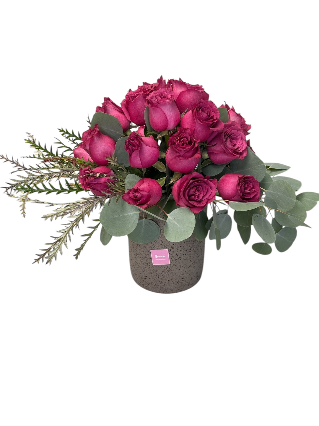 Paloma - base de cemento con 24 rosas fiusha – Menta Flores 🇲🇽