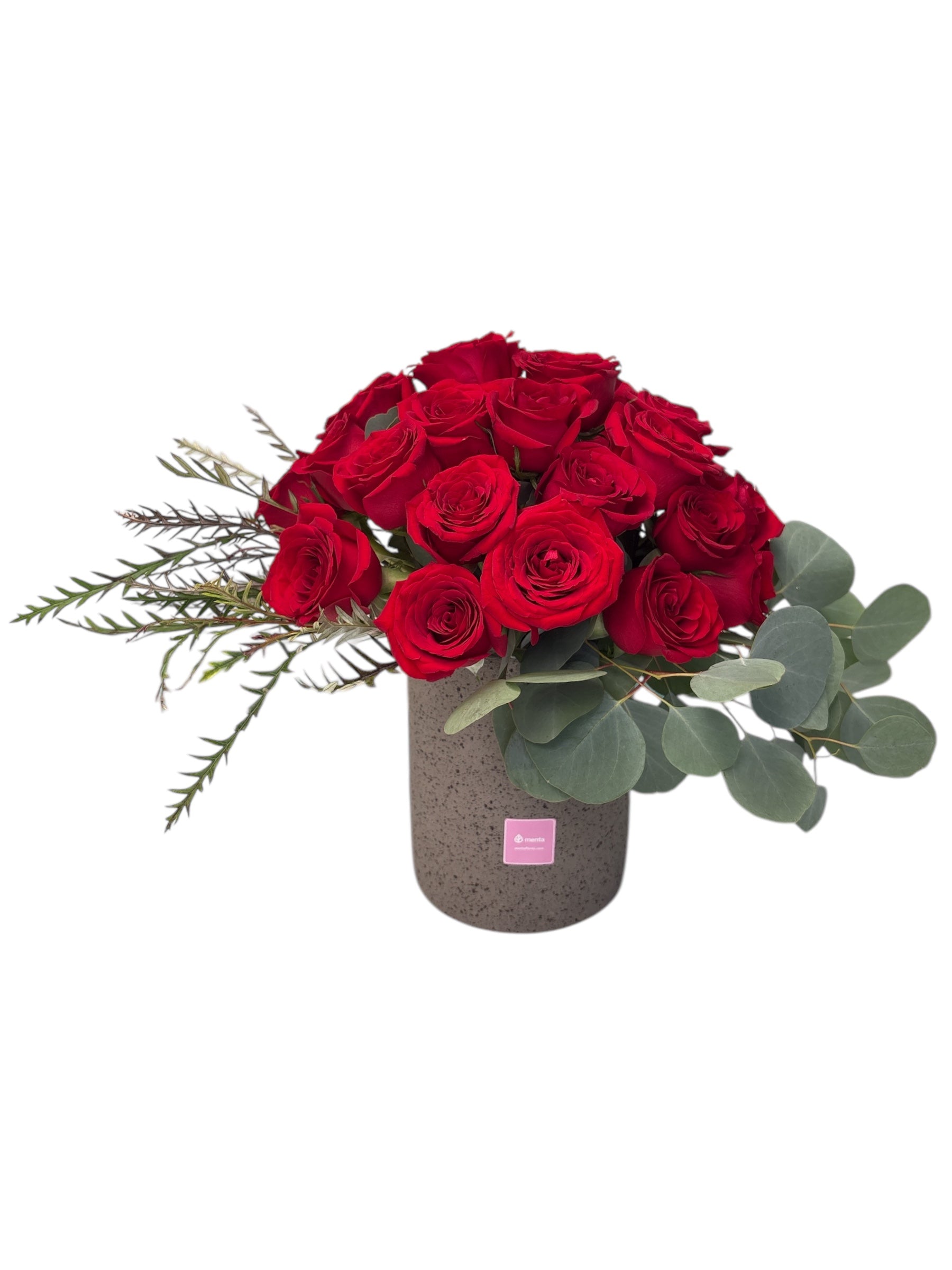 Paloma - base de cemento con 24 rosas rojas